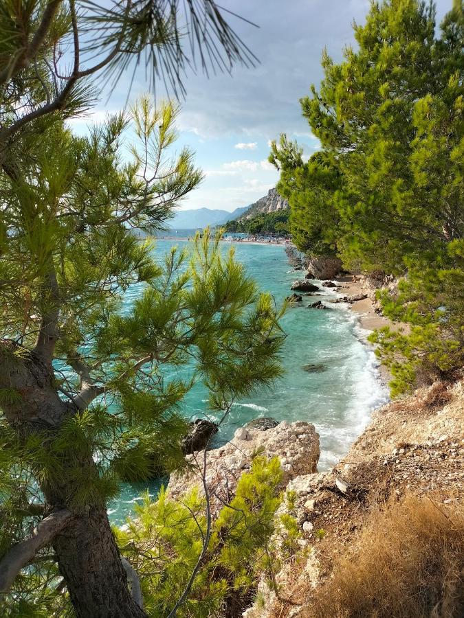 Studie-Apartment In Makarska, Kroatien מראה חיצוני תמונה