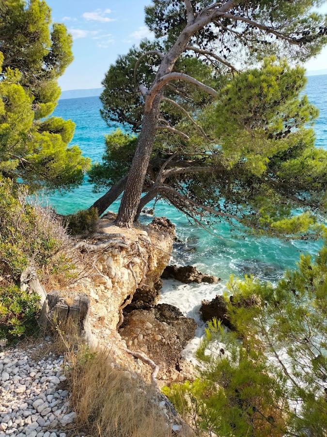 Studie-Apartment In Makarska, Kroatien מראה חיצוני תמונה
